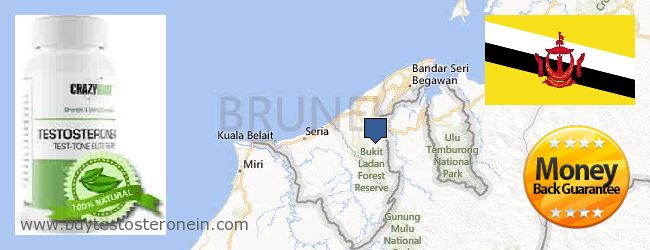 Où Acheter Testosterone en ligne Brunei